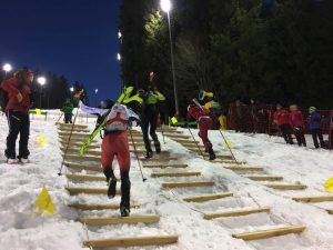 21_WC_Madonna_Sprint_Bild Anderl Hartmann