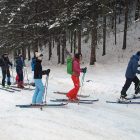 Ab Auf die Ski Askoe Naturfreunde _ Muckenkogel 2017 02 _ Bild Karl Posch _ LR