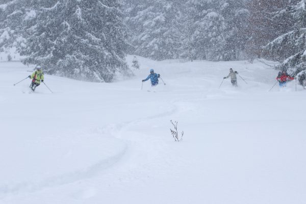 Ab auf die Ski_Faistenau_Bild Roland Hold_LR_33_