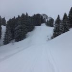 Streckenbesichtigung Vertical (c) SKIMO Austria