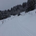 Streckenbesichtigung Vertical (c) SKIMO Austria