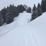 Streckenbesichtigung Vertical (c) SKIMO Austria