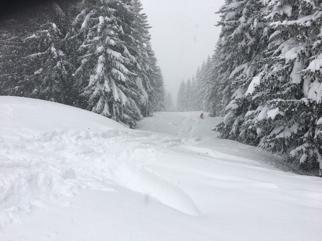 aktuell: Winterwonderland