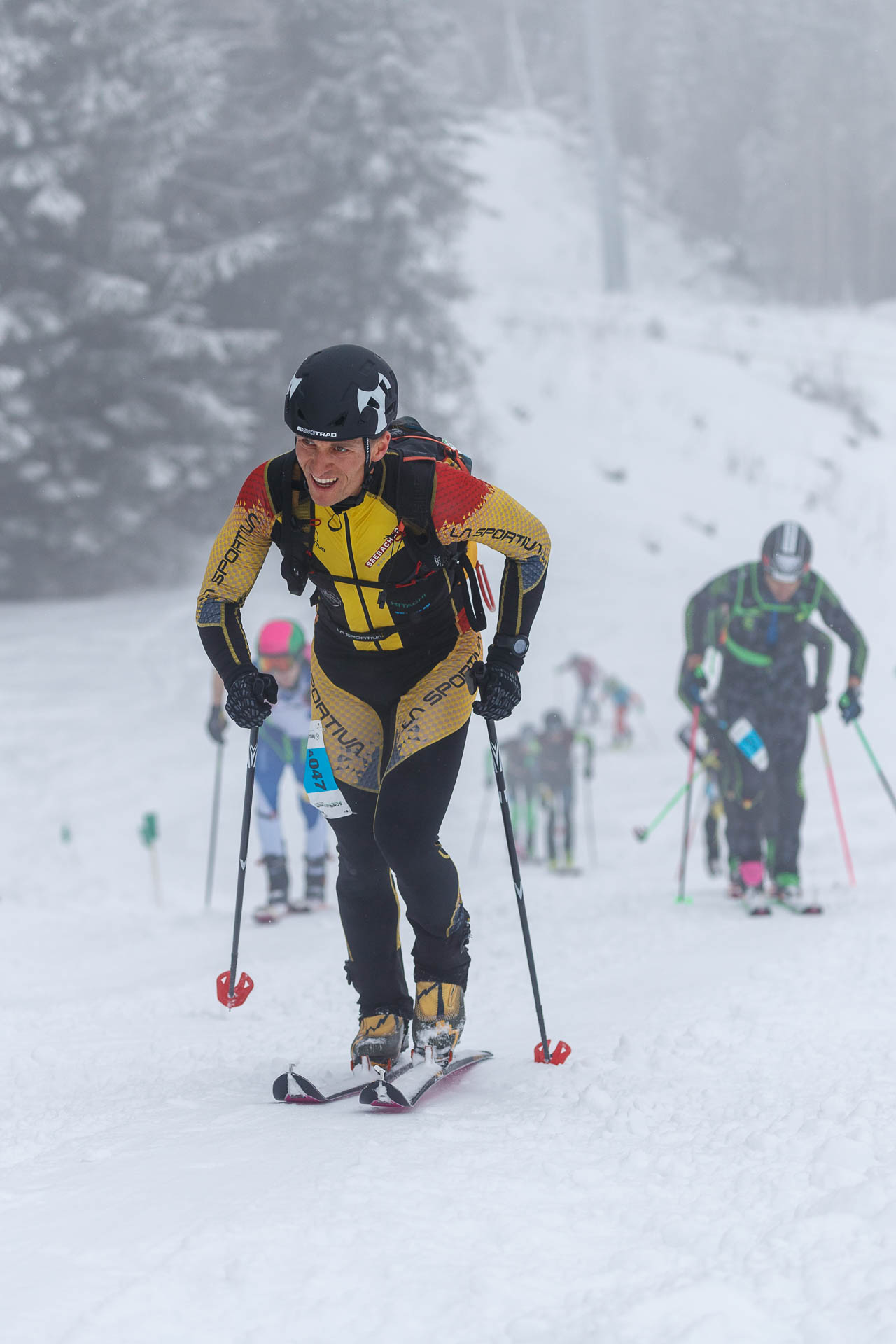 Jennerstier 2018, Vertical Race, German Championships, Berchtesgaden, Germany.