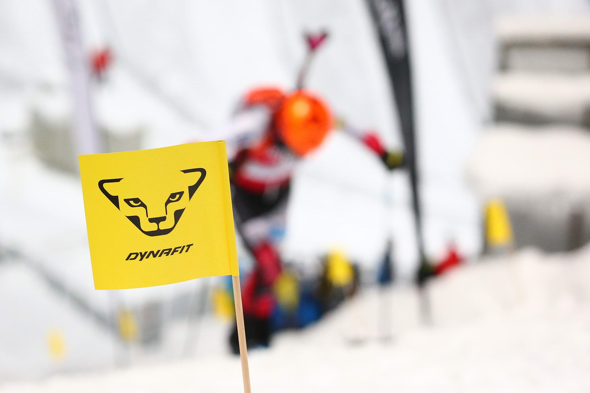 SALZBURG, AUSTRIA - JANUARY 18: a feature during ISMF World Cup Sprint Race at Paul Ausserleitner Schanze on January 18, 2019 in Salzburg, Austria.