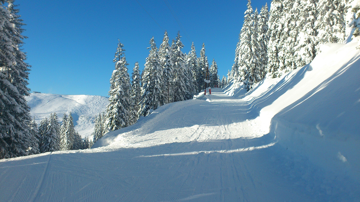 Bild: SK Viehhofen
