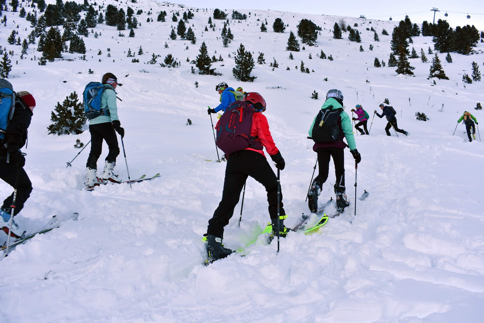 SKIMO Nachwuchscamp Skibergsteigen Motiv 056 Bild Chris Sams LR