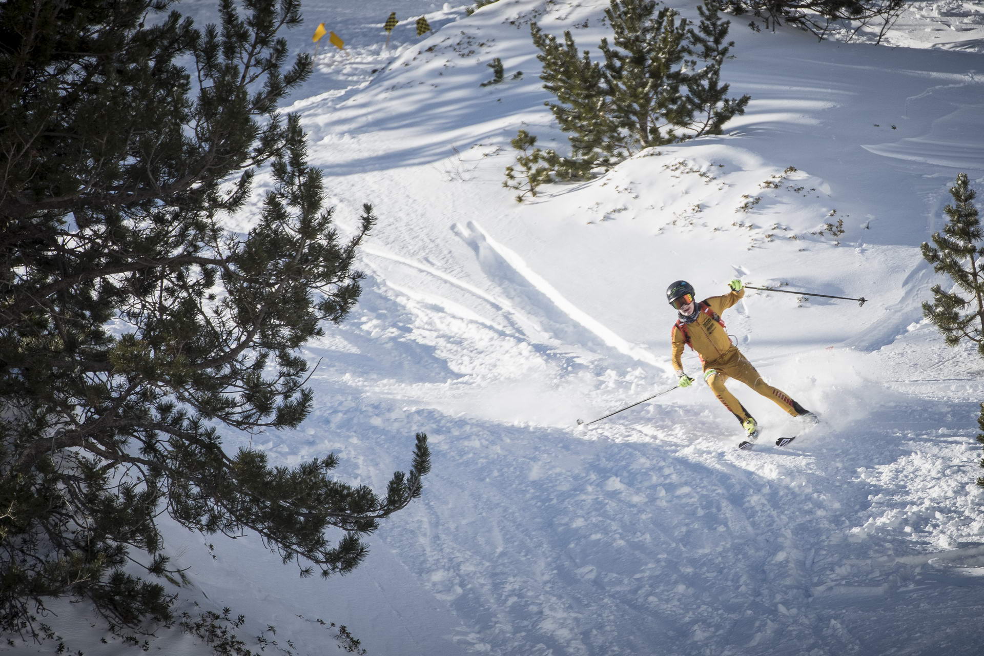 Weltcup Andorra 2019 SKIMO Austria Motiv 32 Bild ISMF Areaphoto LR