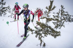 Weltcup Frankreich 2019 SKIMO Austria Individual Motiv 10 Bild ISMF Areaphoto LR