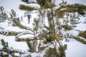 Weltcup Frankreich 2019 SKIMO Austria Individual Motiv 12 Bild ISMF Areaphoto LR