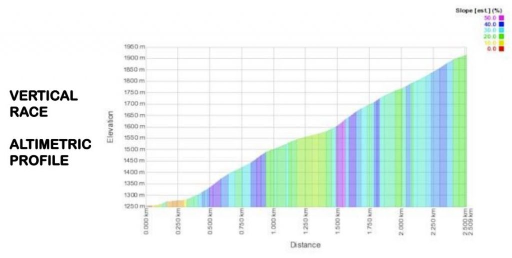 20201220 wc adamello vertical details