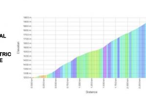20201220 wc adamello vertical details