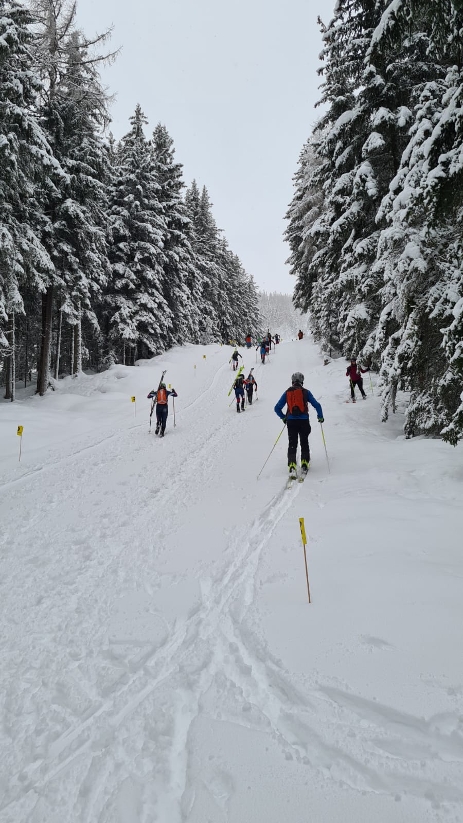 testrennen individual hochwurzen 01 bild hermann gruber