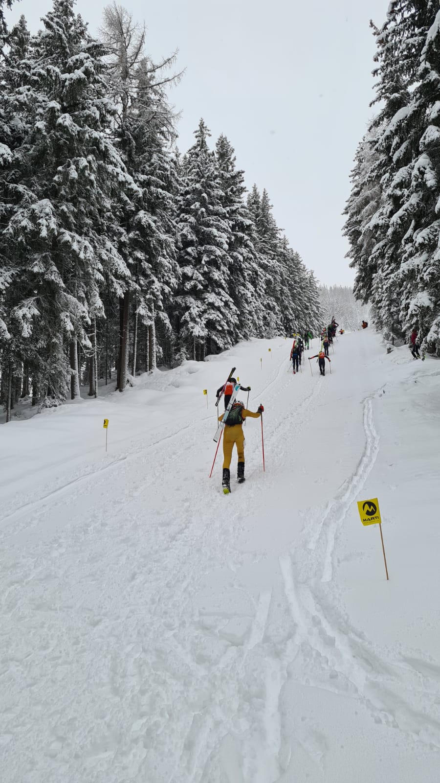 testrennen individual hochwurzen 02 bild hermann gruber