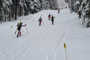 testrennen individual hochwurzen 03 bild hermann gruber