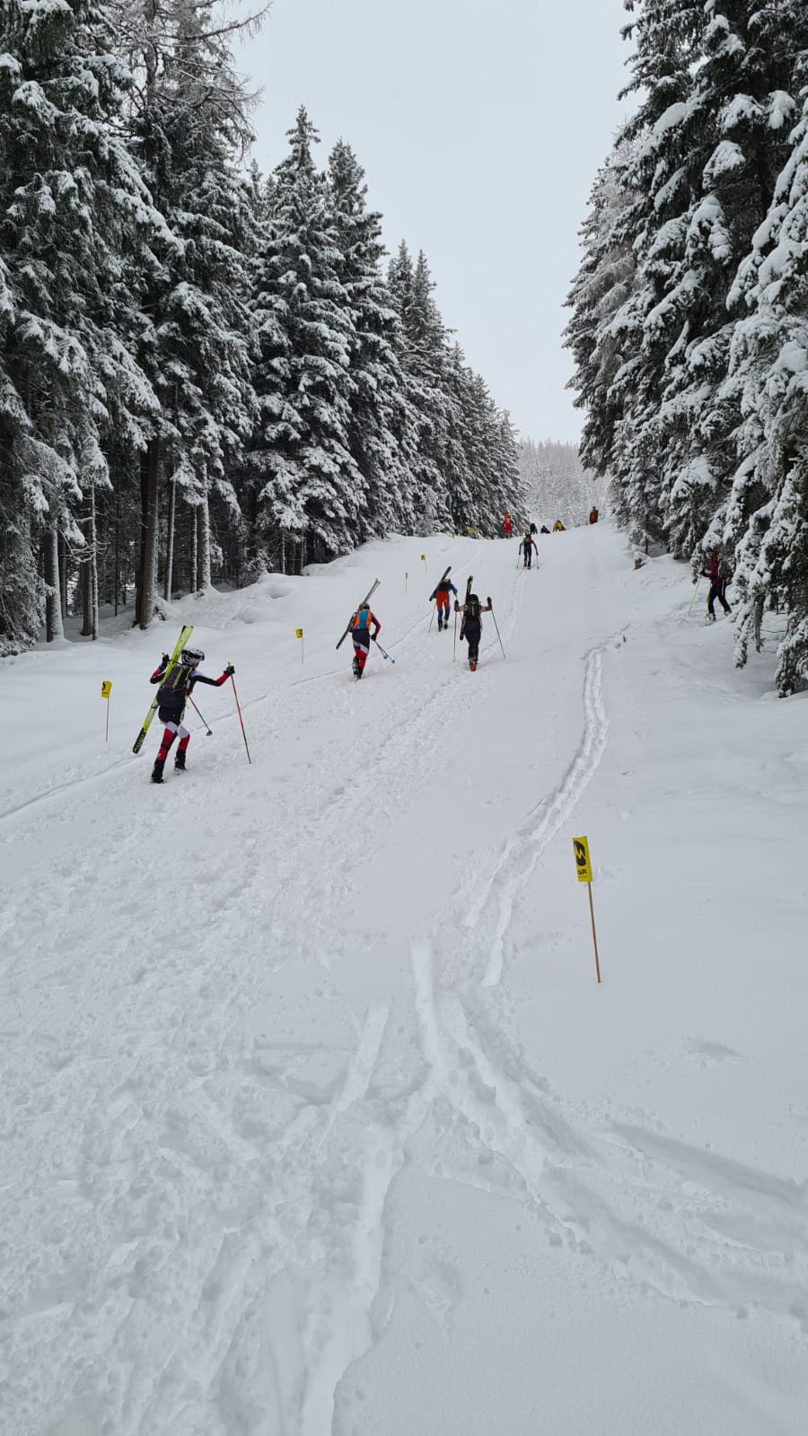 testrennen individual hochwurzen 03 bild hermann gruber