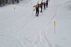 testrennen individual hochwurzen 04 bild hermann gruber