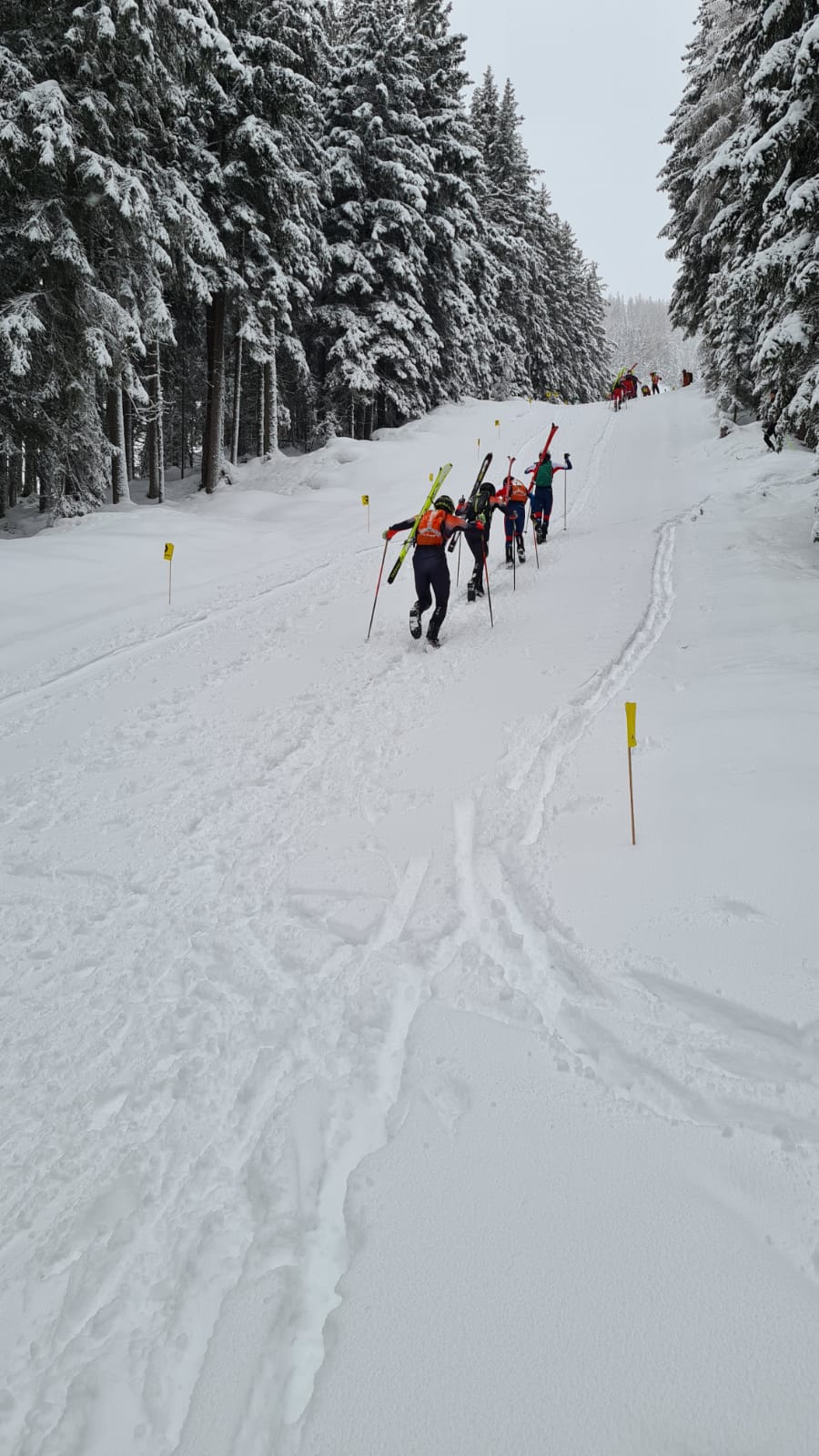 testrennen individual hochwurzen 04 bild hermann gruber