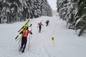 testrennen individual hochwurzen 05 bild hermann gruber