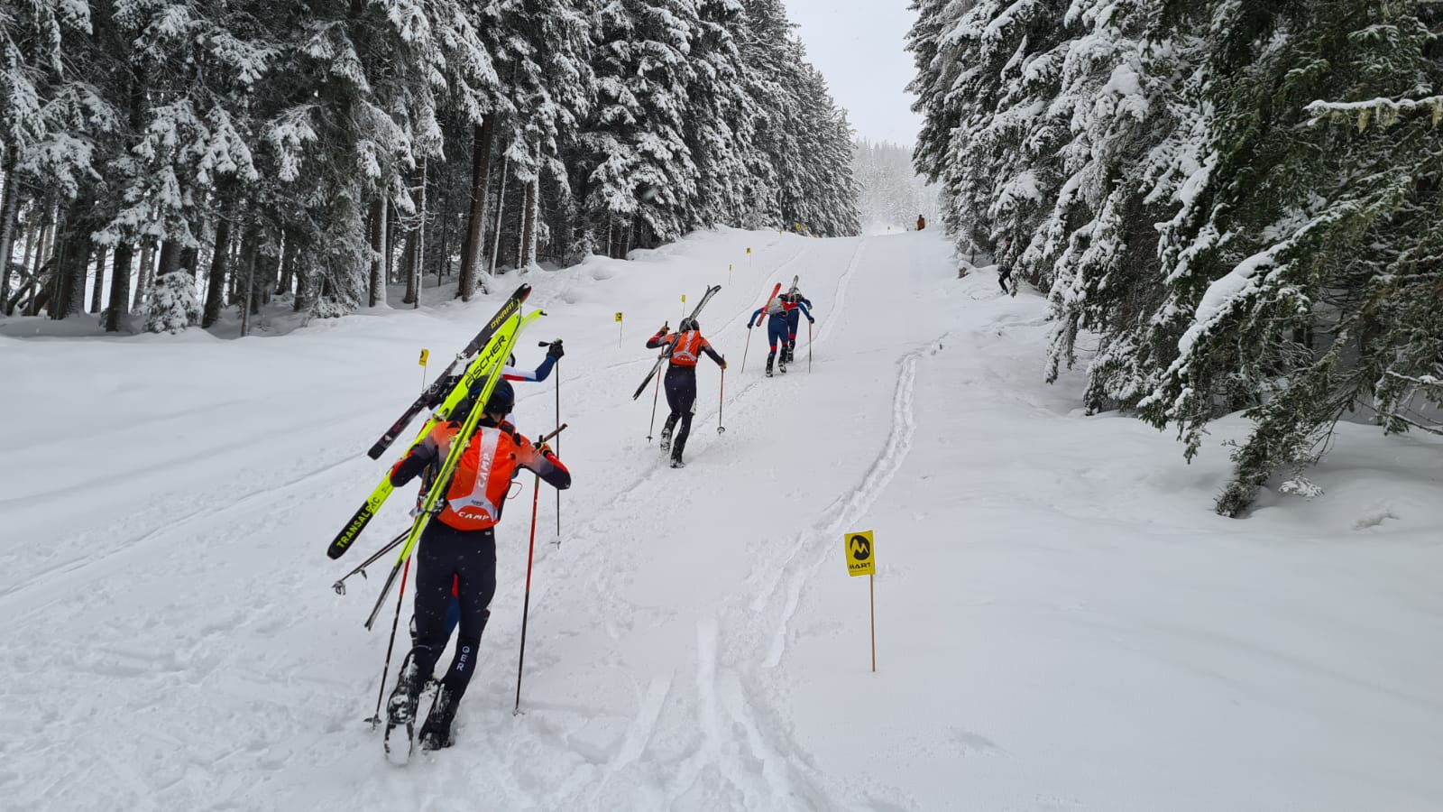 testrennen individual hochwurzen 05 bild hermann gruber