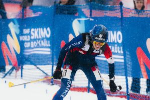 pressprint 6