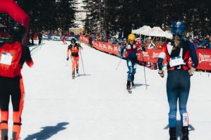 pressmixedrelay 15