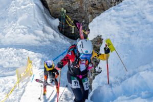 wc val martello indi 311