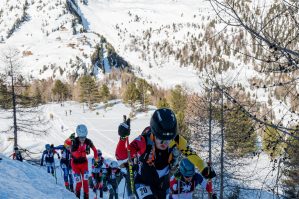 wc val martello indi 35