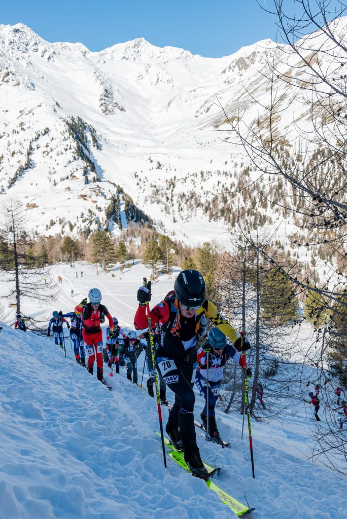 wc val martello indi 35