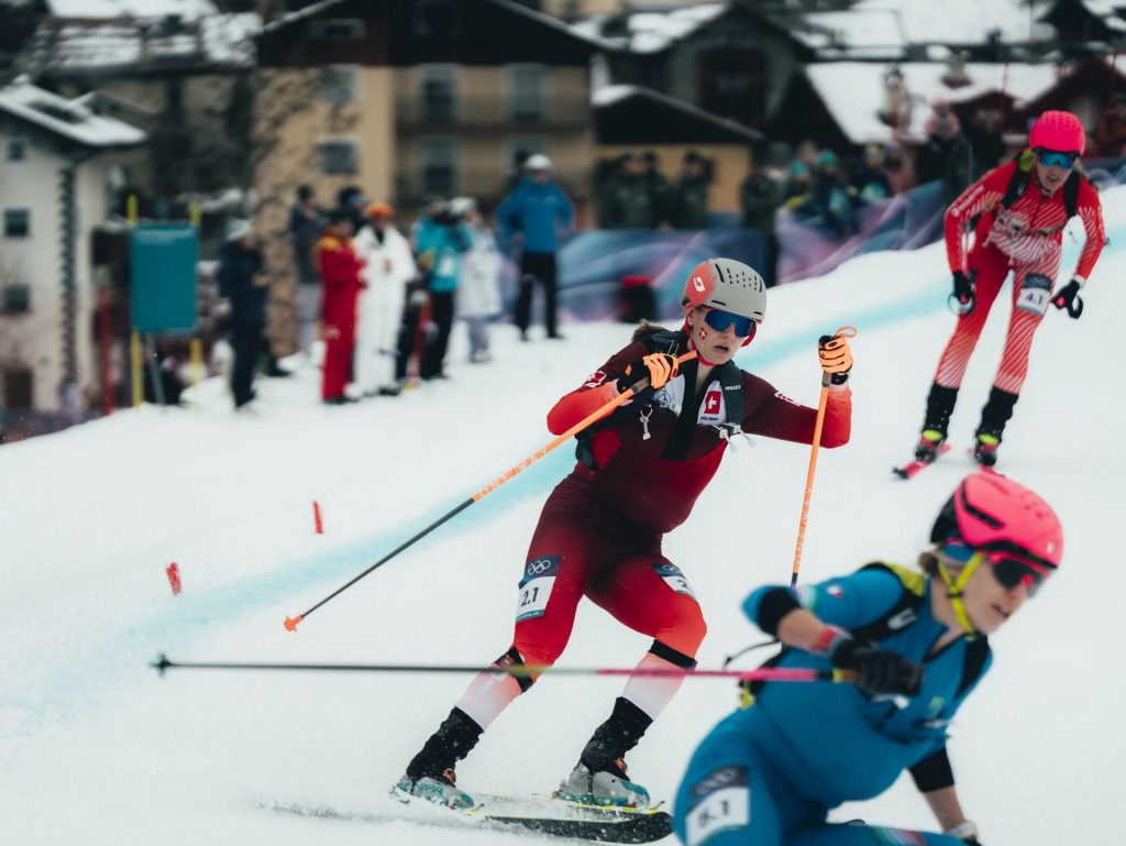 mixedrelayall wogmico 14