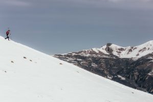 press individual2 17